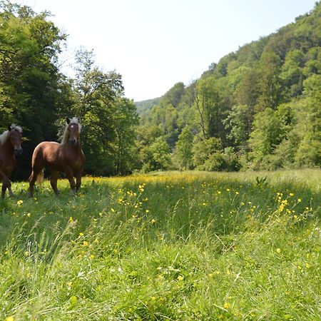 Moulin De La Cuse - Chambre L'Anse Cusance Екстериор снимка